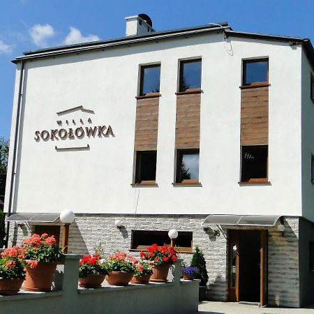 Willa Sokolowka Bad Altheide Exterior foto
